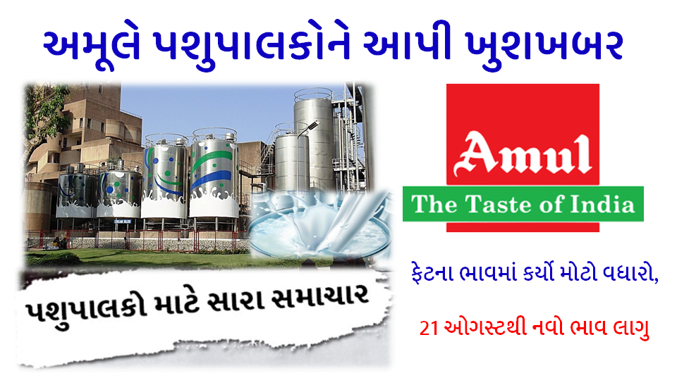 Amul - આણંદ / અમૂલે પશુપાલકોને આપી ખુશખબરઃ ફેટના ભાવમાં કર્યો મોટો વધારો, 21 ઓગસ્ટથી નવો ભાવ લાગુ