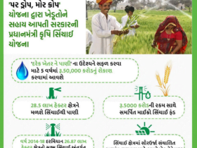 PMKSY-પ્રધાનમંત્રી કૃષિ સિંચાઈ યોજના (PMKSY) : સિંચાઈના સાધનો પર મળશે 80 થી 90% સબસિડી મળશે