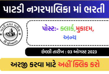 Patdi Nagarpalika Recruitment 2023